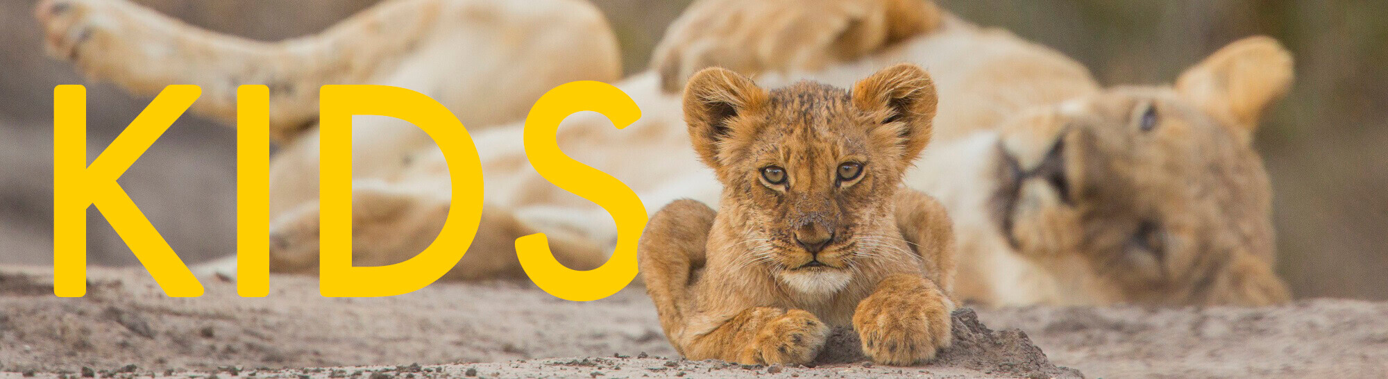 Home World Animal Protection Australia